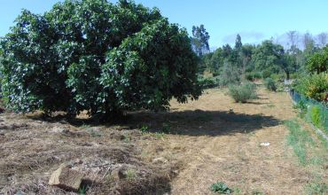 Plot Land for Sale in Carvalhos, Castelo Branco