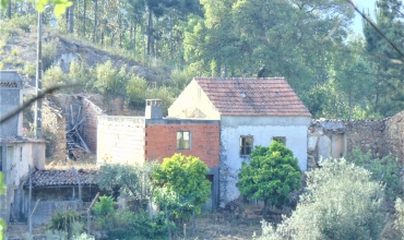 Rural Property T2 for Sale in Macieira, Cernache do Bonjardim, Castelo Branco
