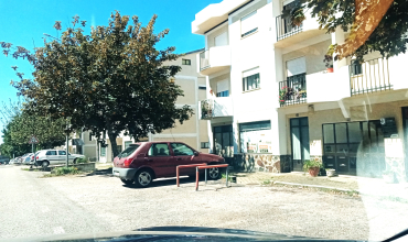 Shop for Sale in Cernache do Bonjardim, Castelo Branco