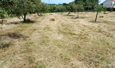 Terreno para Venda em verdelhos-serta, Castelo Branco